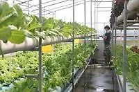 賓館 班萨柏国际青年旅舍 曼谷